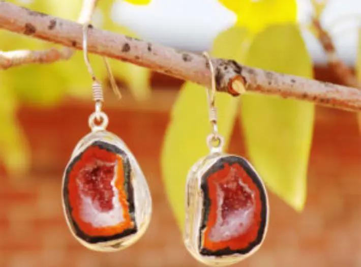 A pair of earrings hanging on a tree branch.